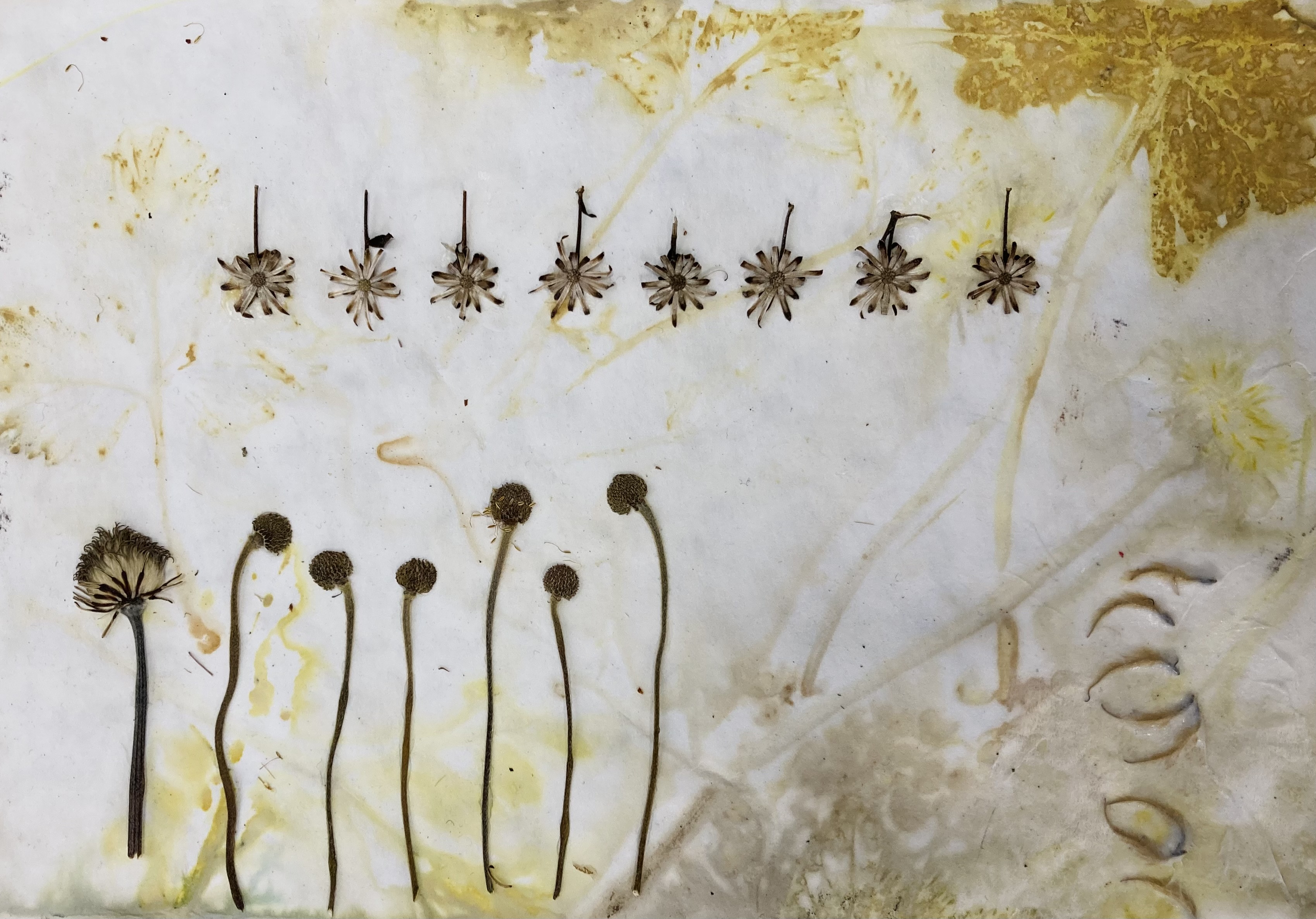 Eindrücke aus den Kunstkursen